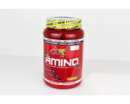 Аминокислота BSN Amino X 1,01кг